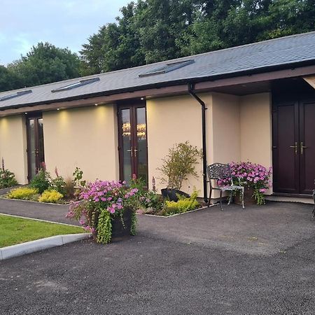 纽波特The Old Mountain Stables Caerllwyn Ganol Farm公寓 外观 照片